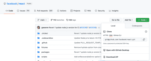 clone the react project